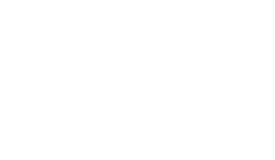 DPonta