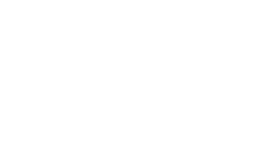 GOL Linhas Aéreas